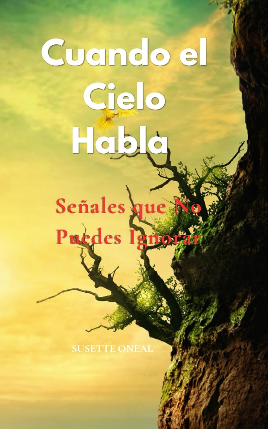 Cuando el Cielo Habla: Señales que No Puedes Ignorar